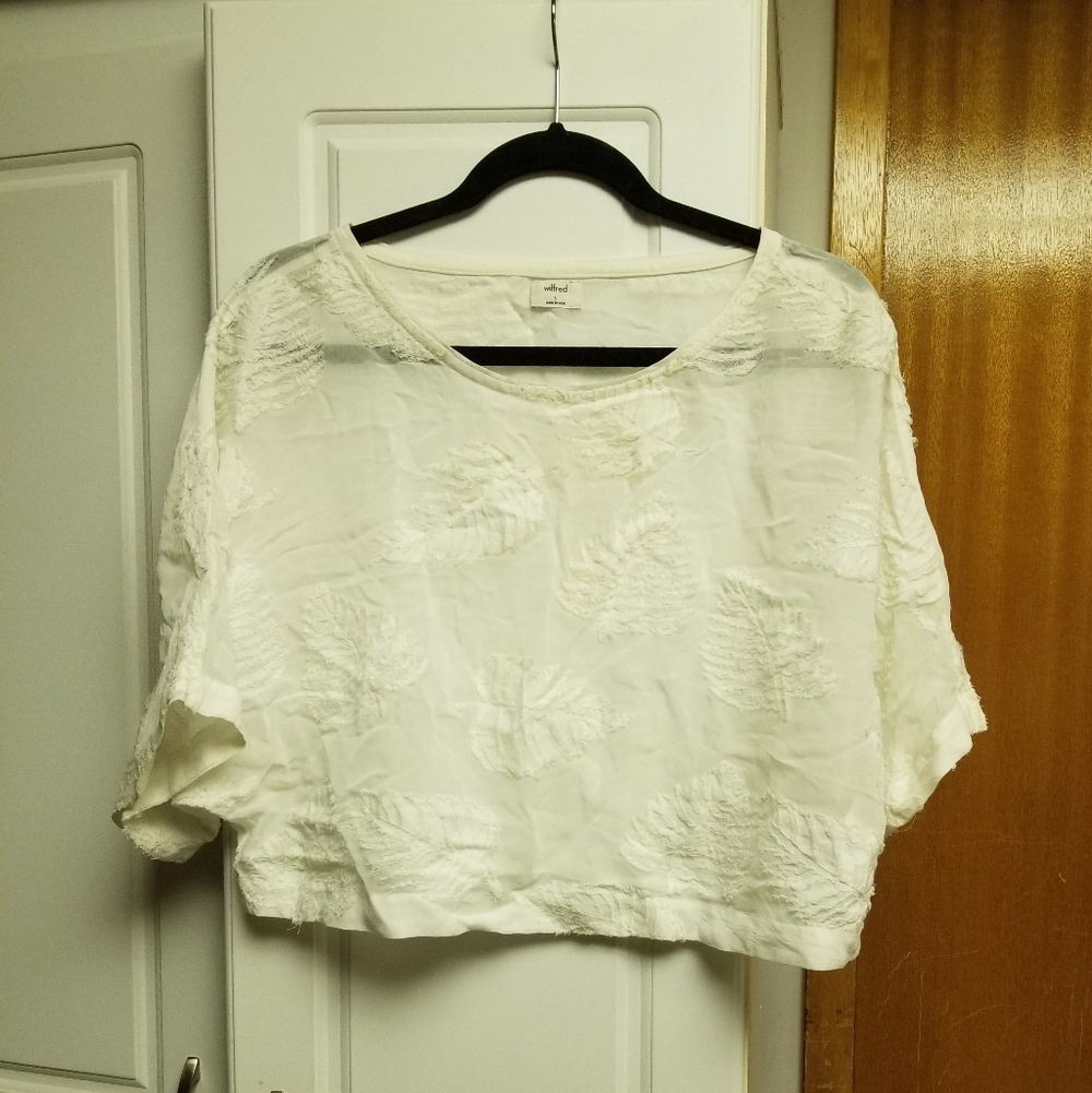 🍁🌺Wilfred(Aritzia) short sleeved sheer leaf print blouse
